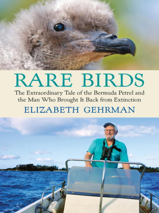 Title details for Rare Birds by Elizabeth Gehrman - Available